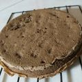 Cooksnap dari lisa dian noviyani untuk resep Coklat Sponge Cake
