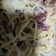 Cooksnap dari Thedar untuk resep Fettucine simple