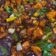Cooksnap dari michele untuk resep Kung Pao Chicken