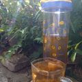 Cooksnap dari Nia d'Kitch untuk resep Air Nabeez (Kurma Infused Water)