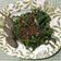 Cooksnap dari riskiah irish untuk resep Brambang asem