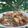 Cooksnap dari Ayu Agustin untuk resep Ayam Kecap Kuah Pedas