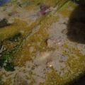 Cooksnap dari Nour Halimah untuk resep Opor Ayam Bumbu Kuning