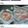 El cooksnap de Geraytere Monti cuando hizo Torta de papa y panceta.