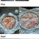 El cooksnap de Geraytere Monti cuando hizo Torta de papa y panceta.