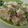 jaya tripathi's cooksnap of when they made Upma.