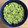 El cooksnap de Maiko Kamata cuando hizo Guacamole.