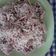 Cooksnap dari ima untuk resep Ongol-ongol (versi kukus)