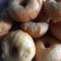 Cooksnap dari Rosalia untuk resep Donat Empuk Tanpa Telur Sederhana
