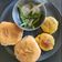 Vandana Joshi का कुकस्नैप जब उन्होंने बटाटे वडा पाव (Batate vada pav recipe in hindi) बनाया था।