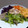 El cooksnap de Laura AO cuando hizo Ensalada multicolor 🥬🍅🥕🥗.