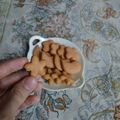 کوک اسنپ Mahoor👩‍🍳🍽 بعد از امتحان کردن بیسکوئیت رژیمی عسلی.