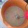 El cooksnap de Ivi Fran cuando hizo Helado de banana fácil.
