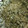 El cooksnap de Monyy cuando hizo Arroz verde.