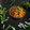 Parul Patel's cooksnap of when they made પરવળ નું શાક (Parval Shak Recipe In Gujarati).