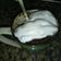 El cooksnap de Ayelen Bieber cuando hizo Bizcochuelo en una taza.