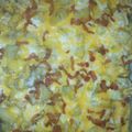 noaboo's cooksnap of when they made Chicken casserole.
