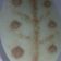صورة من Butterfly، شاركها بعد تجربة وصفة ليالي لبنان