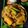 Antara Chakravorty's cooksnap of when they made কুমড়োর পটলের যুগলবন্দী (kumror potoler jugalbondi recipe in Bengali).