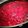 Cooksnap από folia στη συνταγή Cheese cake light με γιαούρτι!