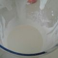 El cooksnap de Alejandra Victoria Cuello Peña cuando hizo Mayonesa casera con leche.