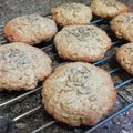 El cooksnap de Denise cuando hizo Galletas de avena,manzana y azúcar negra🍎.