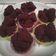 Cooksnap dari Umma NUZa untuk resep Brownies kukus tepung beras