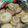 El cooksnap de Alexandra Olivares Solis cuando hizo Galletas de chocolate y vainilla.