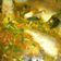Cooksnap dari V untuk resep Asem mujair / Kelo kuning (Jawa Timur)
