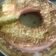 Cooksnap dari Siti Hapsah Zubaidah untuk resep Bolu keju simple, enak, gurih