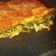 El cooksnap de Carina Nicchio cuando hizo Lasagna fácil.