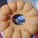 Cooksnap dari Bunga Widie untuk resep Bolu tape singkong kukus tanpa mixer