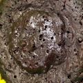 architect.miran's cooksnap of when they made Quick 5minute Brownie.