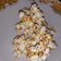 Cooksnap dari dodika_paula untuk resep Popcorn karamel ala pak gordon ramsay