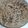 Shriyanshi's cooksnap of when they made Quick aalu paneer paratha.