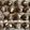 barnowl's cooksnap of when they made No Bake Chocolate Covered Peanut Butter Balls.