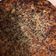 El cooksnap de victoriamanzano76 cuando hizo Tortilla de coliflor, súper light!.