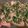Priscilla Tamayo's cooksnap of when they made Lime Cilantro Chicken.