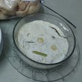 Cooksnap dari Santi Handoko untuk resep Gadon Ayam/daging kukus santan (postingrame2_masakanbersantan)