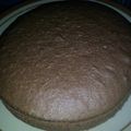 Cooksnap dari Rina F untuk resep Brownies Kukus Tiwul ekonomis