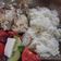 Cooksnap από Sitronella στη συνταγή Κοτόπουλο με λεμόνι (Pollo al limone)