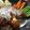 Cooksnap dari Syahara Kitchen untuk resep Steak Tempe with Mashed Potato