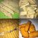 Cooksnap dari Virgin Regina untuk resep Chicken Nugget Homemade