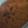 El cooksnap de Leila Gilces cuando hizo Torta de plátano maduro Ecuatoriano 🇪🇨.