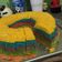Cooksnap dari Martini Kurniasih untuk resep Rainbow cake kukus mudah