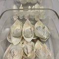 Cooksnap dari dinaferydsa untuk resep Pangsit Rebus/Goreng
