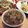 รูป Cooksnap ของ แก้มนวลชวนทำกิน เมื่อเขาทำ แจ่วบักเขือส้ม หรือแจ่วมะเขือเทศ #รักบ้านเกิด