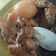 Cooksnap dari Julia Sulistiowaty untuk resep Gudeg yogya