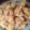 Cooksnap dari WijiAgassi untuk resep Jamur tiram crispy