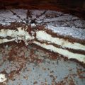 Сooksnap від Lika, який(а) приготував(ла) Сирно-кокосовий шоколадний тортик 🥥.